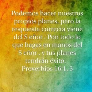 Meet your Posher, Ingrid